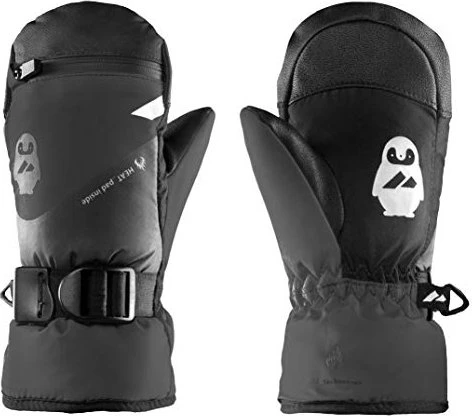 Zanier Icy gtx Skihandschuhe (Junior)