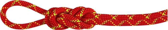 Mammut 8.0 Alpine Core Protect Dry Rope Halbseil 8mm