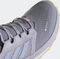 adidas Terrex Trailmaker Mid GTX silver dawn/blue dawn/silver violet (Damen) Vorschaubild