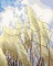 Ravensburger Malen nach Zahlen CreArt Wall Set - Nature Vorschaubild
