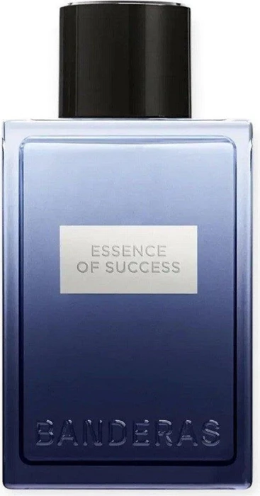 Antonio Banderas Essence of Success Eau de Toilette, 100ml