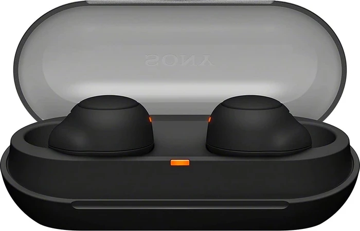 Sony WF-C500 schwarz