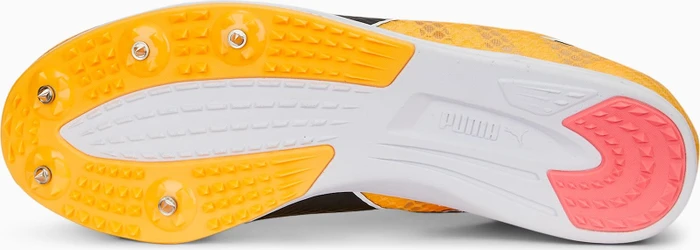 Puma evoSPEED Distance 11 sun stream/puma black/puma silver