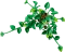 LEGO Botanicals - Hängende Efeutute Vorschaubild