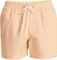Quiksilver Everyday Deluxe 15" Badeshorts (Herren) Vorschaubild