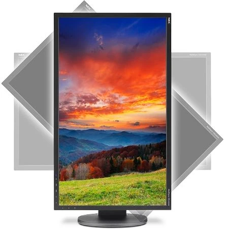 NEC MultiSync EA244WMi-BK, schwarz, 24"