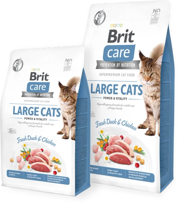 Brit Care