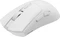 Genesis Zircon 880 Wireless Gaming Mouse weiß, USB/Bluetooth Vorschaubild