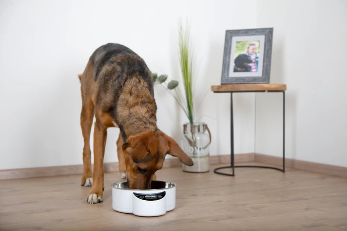 Kerbl Intelligent Pet Bowl mit integrierter Waage, 1.8l, Display, weiß