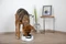Kerbl Intelligent Pet Bowl mit integrierter Waage, 1.8l, Display, weiß Vorschaubild