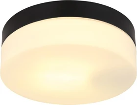 Globo Vranos 18.5cm 1-flammig schwarz