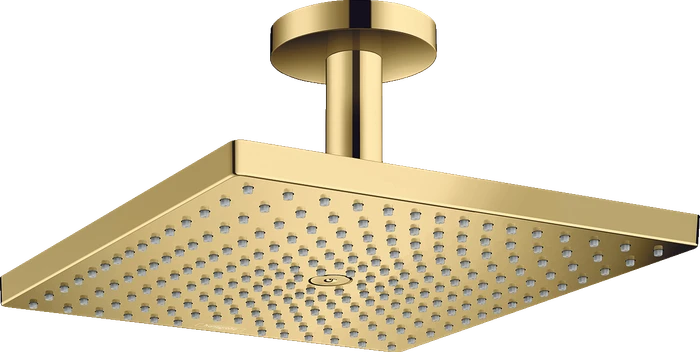 Hansgrohe Raindance Kopfbrause E 300 1jet