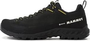 Mammut Alnasca IV Low LTH GTX (Herren)