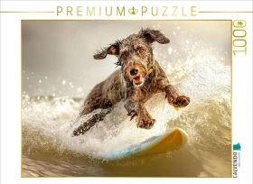 Calvendo Ein Motiv aus dem Kalender Lustige Sportarten für Hunde