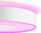 Philips Hue White and Color Ambiance Xamento L Vorschaubild