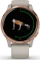 Garmin Venu light sand/rose gold Vorschaubild