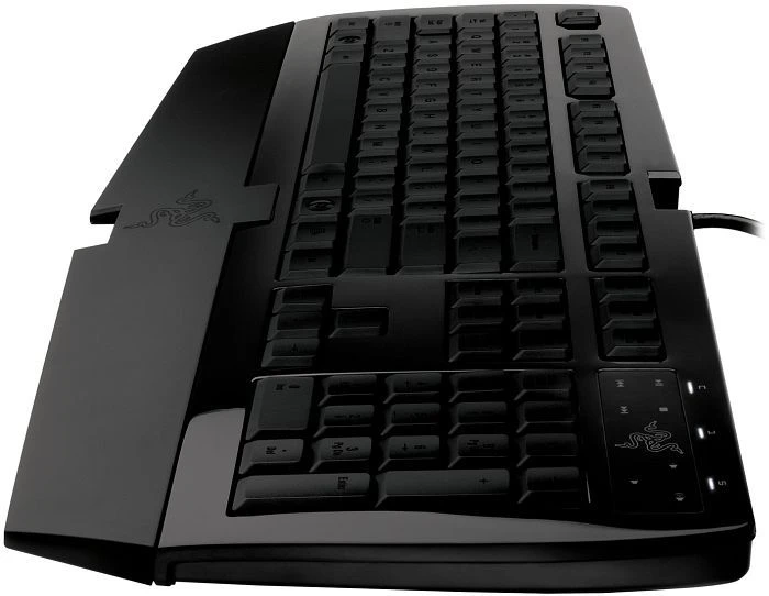 Razer Arctosa schwarz, USB, PL
