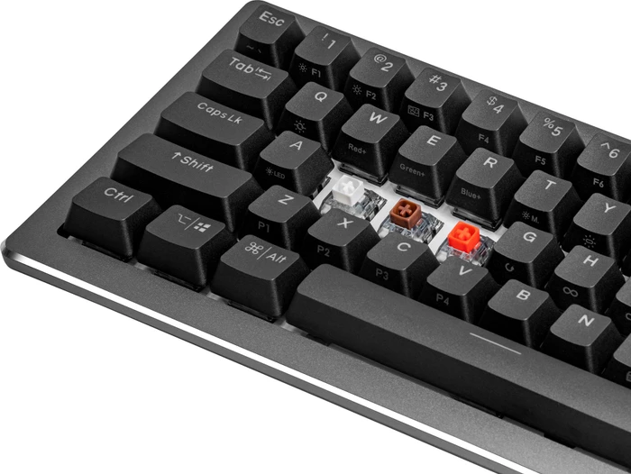 Cooler Master CK720, LEDs RGB, hot-swap, schwarz/grau, Kailh Box V2 BROWN, USB, US