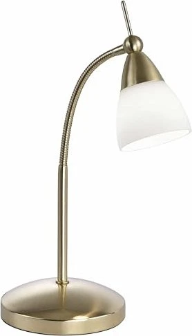 Paul Neuhaus Pino LED-Tischleuchte messing matt