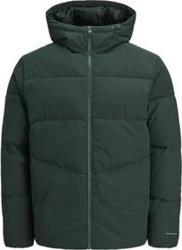 Jack & Jones Global Jacke scarab (Herren)