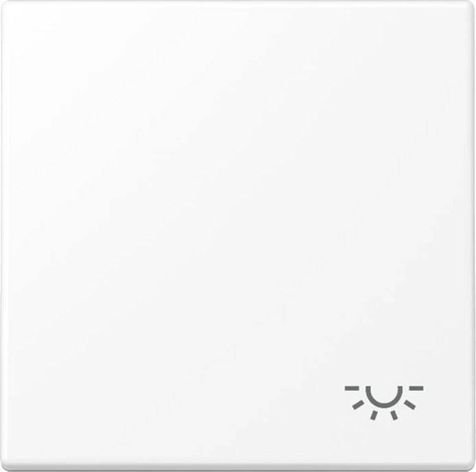 Jung Serie LS Wippe Symbol Licht, schneeweiß matt