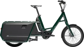 Qio Long P9 forest green Modell 2026