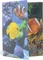 Herma Glossy Tiere Sammelmappe, A4, Fische Vorschaubild