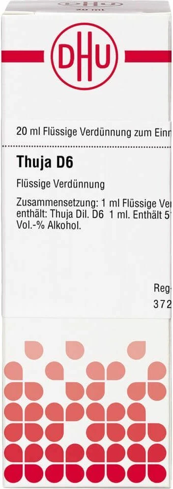gruene zimmerpflanzen Dracaena Marginata vertakt | 160cm