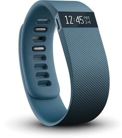Fitbit Charge Large Aktivitäts-Tracker schiefergrau (FB404SLL)