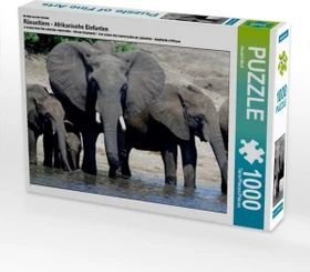 Calvendo Ein Motiv aus dem Kalender Rüsseltiere - Afrikanische Elefanten