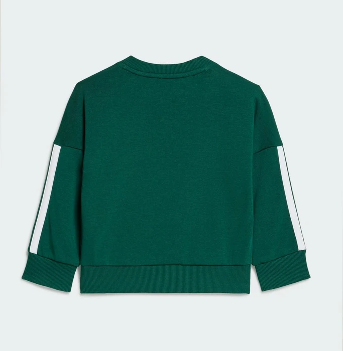 adidas Essentials Trainingsanzug collegiate green/white (Junior)