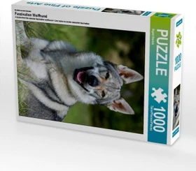 Calvendo Ein Motiv aus dem Kalender Faszination Wolfhund