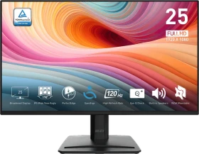 MSI PRO MP252 E2, 24.5"