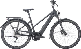 Pegasus Premio Evo 10 Lite 500Wh black matt Modell 2023 (Damen)