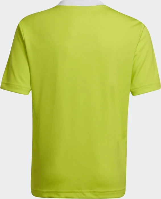 adidas Entrada 22 Trikot kurzarm team semi solar yellow (Junior)