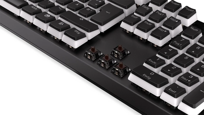 Endorfy Thock Pudding, PBT, LEDs RGB, Kailh BROWN, USB, DE