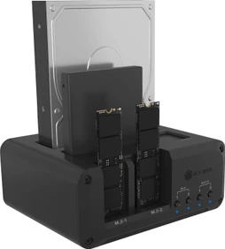 RaidSonic IB-2925MS-CU31, Club Case 2925