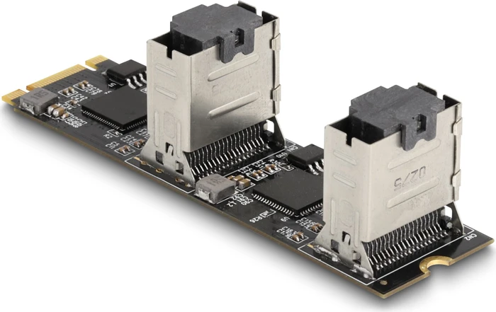 DeLOCK M.2 PCIe -> SATA