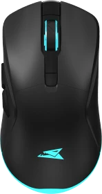 Baracuda Turtle Black Wireless Gaming Mouse, schwarz, USB (BGM-121)