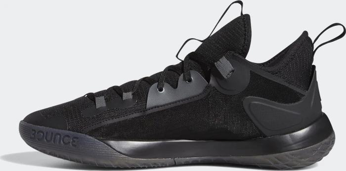 adidas Harden Step Back 2.0 core black/iron metallic/grey six (Herren)