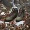 adidas Terrex Snowpitch Cold.RDY olive strata/bronze strate/semi impact orange Vorschaubild