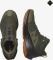 Salomon Elixir Activ Mid GTX peat/black/caramel cafe (Herren) Vorschaubild