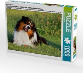 Calvendo Ein Motiv aus dem Kalender Australian Shepherd - Hütehunde mit Familienanschluss
