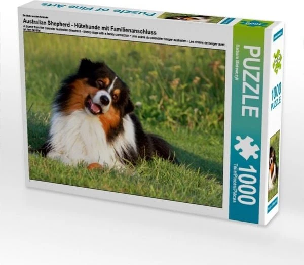 Calvendo Ein Motiv aus dem Kalender Australian Shepherd - Hütehunde mit Familienanschluss