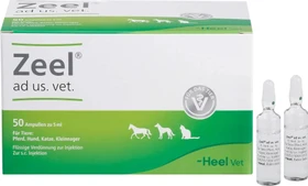 Heel Zeel Ampullen, 50 Stück
