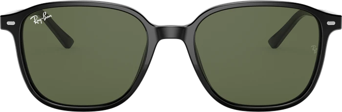 Ray-Ban RB2193 Leonard