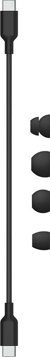 Apple Beats Flex Beats Black