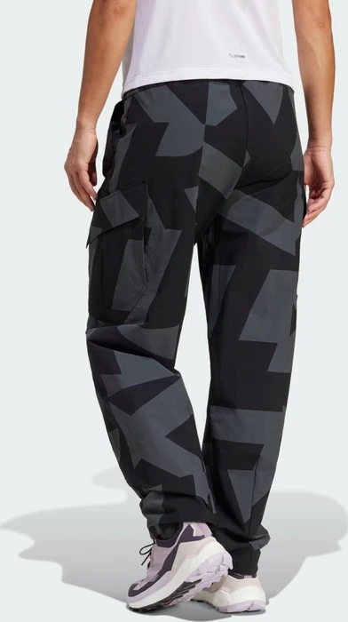adidas Terrex Xploric Cargo Hose lang earth strata (Damen)