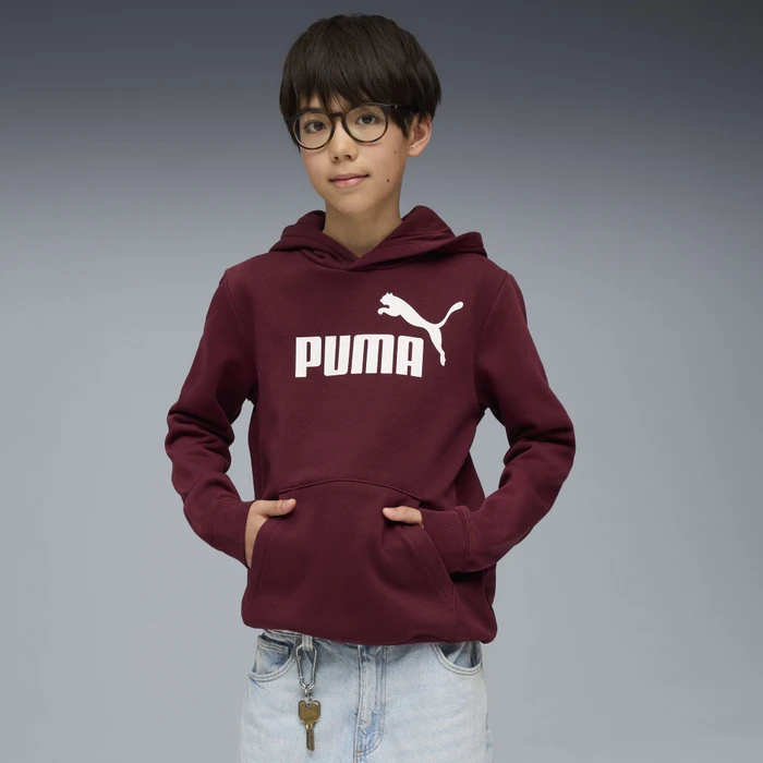 Puma ESS No. 1 Logo Fleece Hoodie ruby shimmer (Junior)