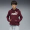 Puma ESS No. 1 Logo Fleece Hoodie ruby shimmer (Junior) Vorschaubild